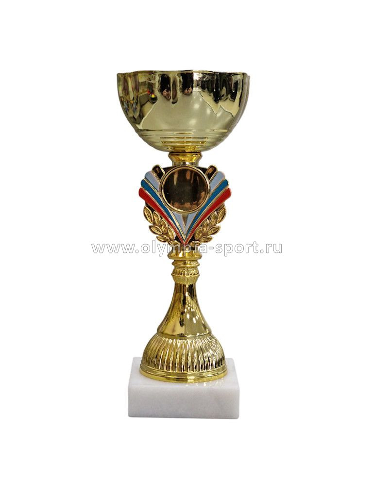 Кубок 537C (3)