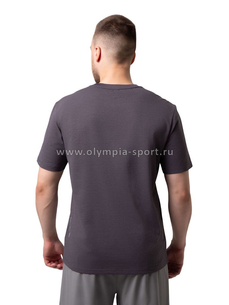 Футболка мужская Strobbs E2535-1 темно-серый